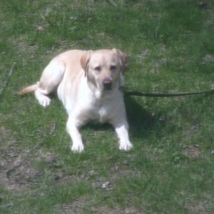 Meet your Posher, Mary-catherine